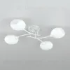 Потолочная люстра Citilux Флорида CL148140 CL148140 - 6
