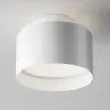 Накладной светильник Maytoni Planet C009CW-L16W4K C009CW-L16W4K - 3
