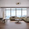 Люстра-вентилятор Mantra Nature 7808 7808 - 4