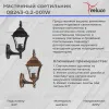 Уличный настенный светильник Reluce 08243-0.2-001W BKG 08243-0.2-001W BKG - 2