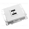 Розетка USB 2-местная Stekker Катрин 39686 39686 - 4