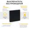 Выключатель беспроводной одноклавишный Feron TM81 41722 41722 - 1