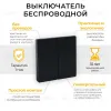 Выключатель беспроводной двухклавишный Feron TM82 41723 41723 - 1