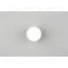 Накладной светильник Omnilux Capurso OML-102429-05 OML-102429-05 - 4