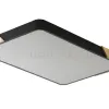 Потолочный светильник Zortes Alberro ZRS.01244.60 ZRS.01244.60 - 1