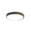 Потолочный светильник Zortes Alberro ZRS.01287.36 ZRS.01287.36 - 4
