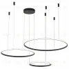 Подвесная люстра Zortes Ringolight ZRS.33320.120F ZRS.33320.120F - 2