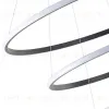 Подвесная люстра Zortes Ringolight ZRS.33320.120C ZRS.33320.120C - 8