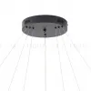 Подвесная люстра Zortes Ringolight ZRS.33320.120C ZRS.33320.120C - 7