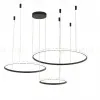 Подвесная люстра Zortes Ringolight ZRS.33320.120F ZRS.33320.120F - 7