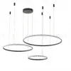 Подвесная люстра Zortes Ringolight ZRS.33320.120F ZRS.33320.120F - 6
