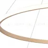 Подвесная люстра Zortes Ringolight ZRS.33320.75C ZRS.33320.75C - 4