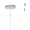 Подвесная люстра Zortes Ringolight ZRS.33321.120F ZRS.33321.120F - 6