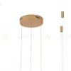 Подвесная люстра Zortes Ringolight ZRS.33325.75F ZRS.33325.75F - 3