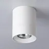 Накладной светильник Ambrella Light Techno spot TN213136 TN213136 - 2