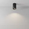 Накладной светильник Maytoni Zoom C029CL-01-S-B C029CL-01-S-B - 4