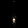 Уличный подвесной светильник Loft IT Verona 100003P 100003P - 2