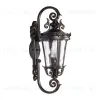 Уличный настенный светильник Loft IT Verona 100003W 100003W - 1