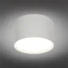 Накладной светильник Omnilux Abano OML-103309-06 OML-103309-06 - 2