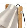 Настольная лампа Eglo Cawton 43953 43953 - 4