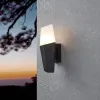 Уличный настенный светильник Eglo Farindola 900682 900682 - 2
