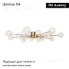 Потолочная люстра Freya Celebrity FR5242CL-16BS1 FR5242CL-16BS1 - 2