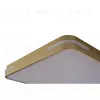 Потолочный светильник Zortes Gabby ZRS.1215.03 ZRS.1215.03 - 6