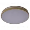 Потолочный светильник Zortes Gabby ZRS.90610.40 ZRS.90610.40 - 4