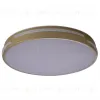 Потолочный светильник Zortes Gabby ZRS.90610.40 ZRS.90610.40 - 2
