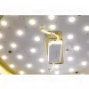Потолочный светильник Zortes Gabby ZRS.90610.40 ZRS.90610.40 - 9
