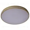 Потолочный светильник Zortes Gabby ZRS.90610.50 ZRS.90610.50 - 2