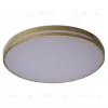 Потолочный светильник Zortes Gabby ZRS.90610.50 ZRS.90610.50 - 4