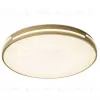 Потолочный светильник Zortes Gabby ZRS.90610.50 ZRS.90610.50 - 3