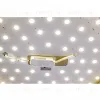 Потолочный светильник Zortes Gabby ZRS.90610.50 ZRS.90610.50 - 13