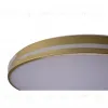 Потолочный светильник Zortes Gabby ZRS.90610.50 ZRS.90610.50 - 10