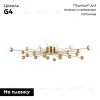 Потолочная люстра Freya Celebrity FR5242CL-24BS FR5242CL-24BS - 2