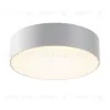 Уличный потолочный светильник Maytoni Zon IP O431CL-L30W3K O431CL-L30W3K - 1