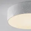 Уличный потолочный светильник Maytoni Zon IP O431CL-L30W3K O431CL-L30W3K - 3