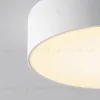 Уличный потолочный светильник Maytoni Zon IP O431CL-L30W3K O431CL-L30W3K - 2