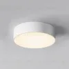 Уличный потолочный светильник Maytoni Zon IP O431CL-L30W4K O431CL-L30W4K - 7