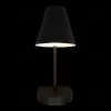 Бра Loft IT Shelf 10216/1W Black 10216/1W Black - 4