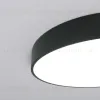 Потолочный светильник Eurosvet Entire 90319/1 черный a063080 90319/1 черный - 2