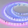 Светодиодная лента Arlight SPI-B60-10mm 24V RGB-PX6-BPT (12 W/m, IP20, 5060, 5m) 039180 039180 - 2