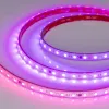 Светодиодная герметичная лента Arlight SPI-PS-B60-12mm 24V RGB-PX6-BPT (12 W/m, IP67, 5060, 5m) 039181 039181 - 4