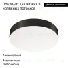 Потолочный светильник Arlight SP-FLOWER-R280-15W Day4000-MIX (BK, 110 deg, 230V, MOTION) 041487 041487 - 2