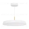 Подвесной светильник Arlight SP-ELEGANT-R500-37W Day4000 (WH, 120 deg, 230V) 033924(1) 033924(1) - 1