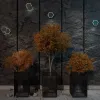 Уличный настенный светильник Novotech Smena 359163 359163 - 3