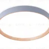 Потолочный светильник Ambrella Light Orbital Design FZ1322 FZ1322 - 1