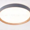 Потолочный светильник Ambrella Light Orbital Design FZ1322 FZ1322 - 4