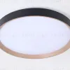 Потолочный светильник Ambrella Light Orbital Design FZ1326 FZ1326 - 2